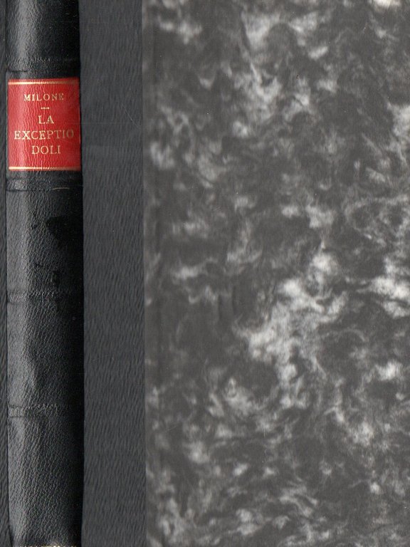Exceptio doli (generalis): Studio di diritto romano