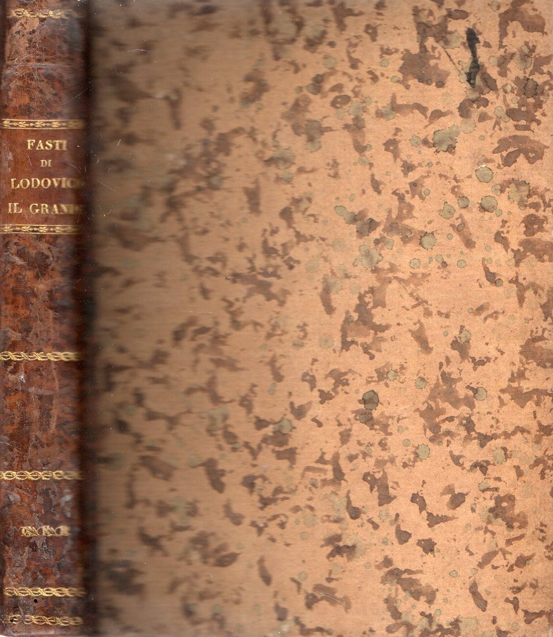 Fasti di Lodovico XIV il Grande esposti in versi in … | Immagine principale