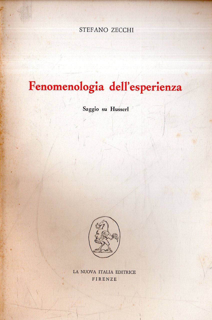 Fenomenologia dell'esperienza: Saggio su Husserl