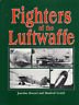 Fighters of the Luftwaffe | Immagine principale