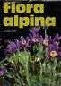 Flora alpina | Immagine principale