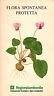 Flora spontanea protetta | Immagine principale