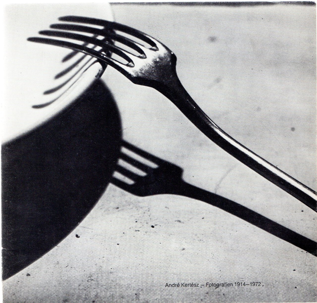 Fotografien 1914 - 1972 | Immagine principale