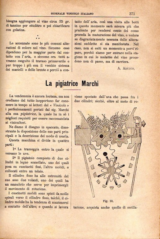 Giornale vinicolo italiano: Anno 1893 (annata completa)