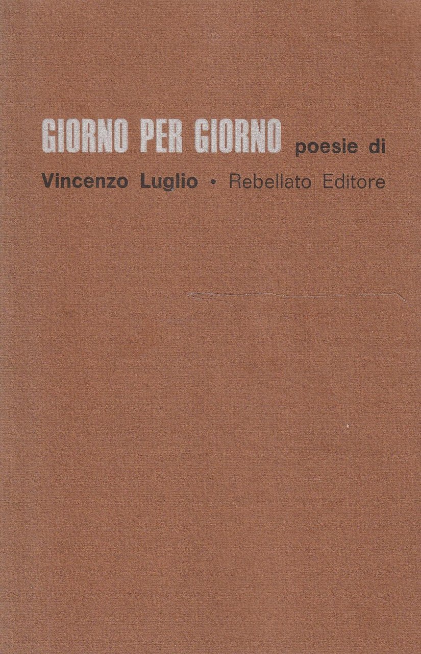 Giorno per giorno. Poesie di Vincenzo Luglio