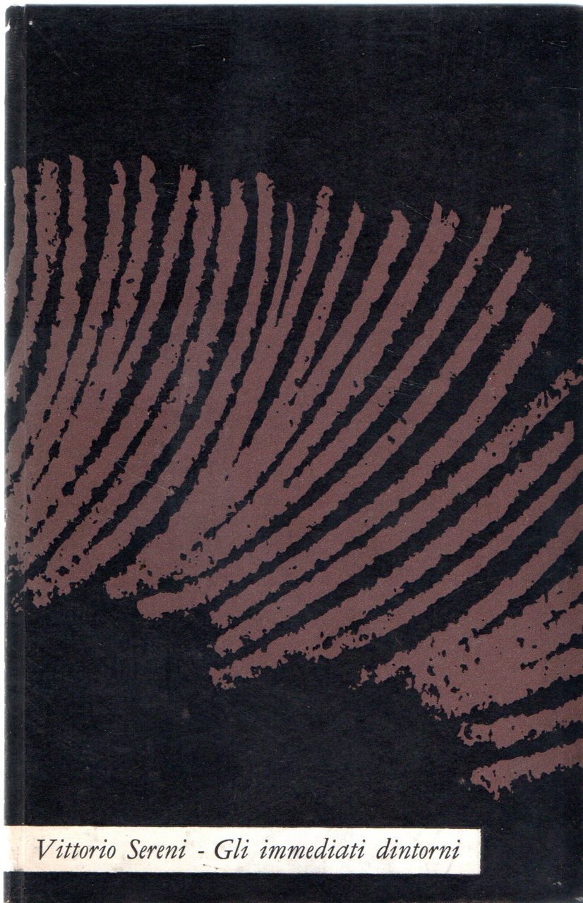 Gli immediati dintorni | Immagine principale