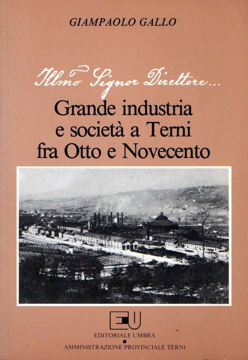 Grande industria e società a Terni fra Otto e Novecento | Immagine principale