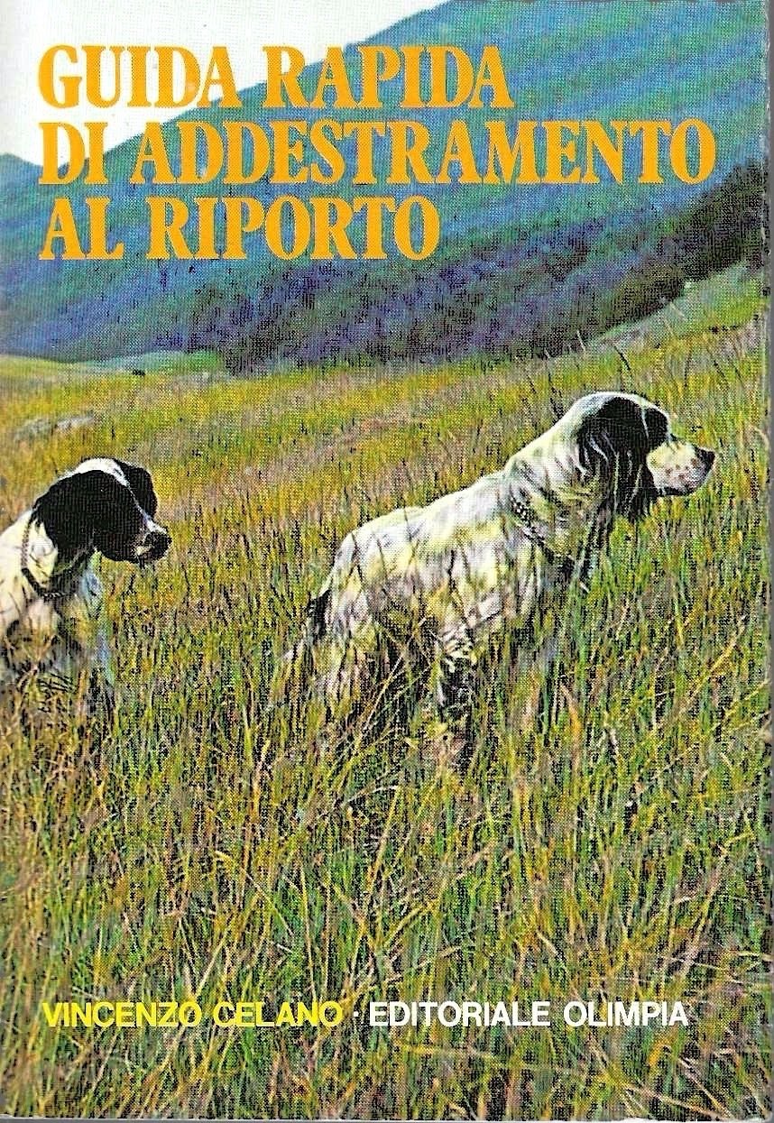 Guida rapida di addestramento al riporto