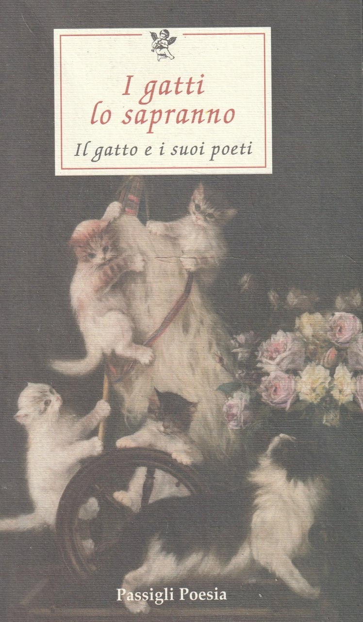 I gatti lo sapranno : il gatto e i suoi …