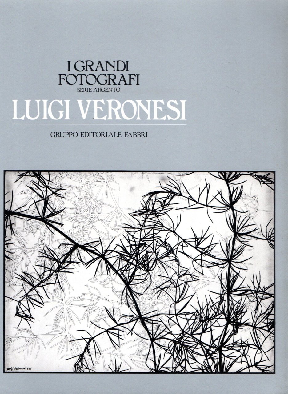 I grandi fotografi. Luigi Veronesi | Immagine principale