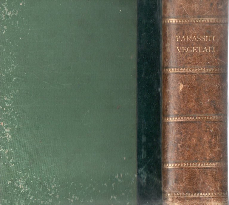 I PARASSITI VEGETALI DELLE PIANTE COLTIVATE O UTILI | Immagine Gallery 2