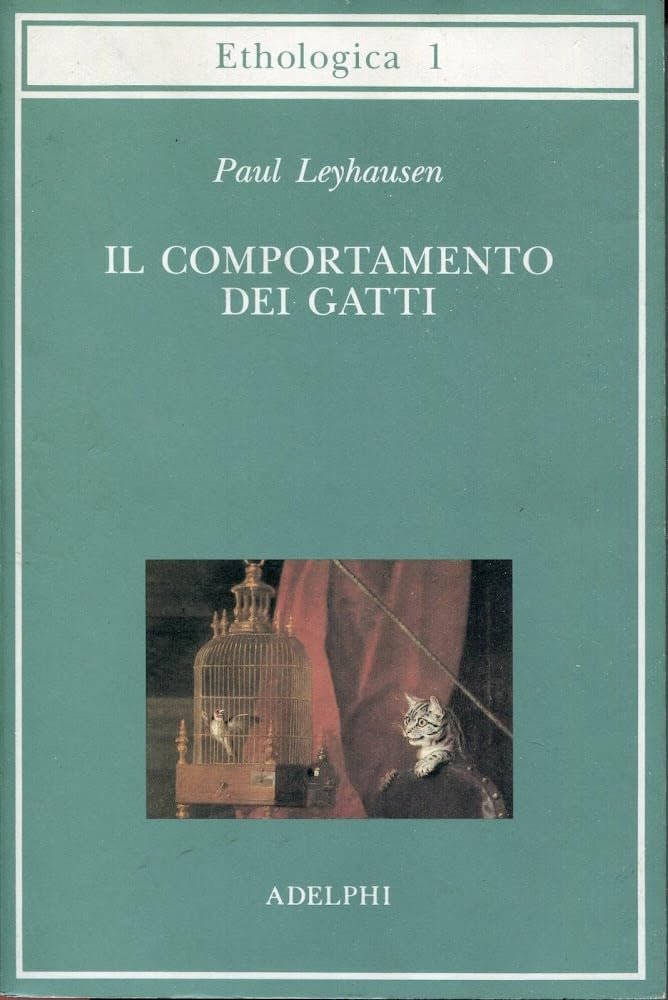 Il comportamento dei gatti | Immagine principale