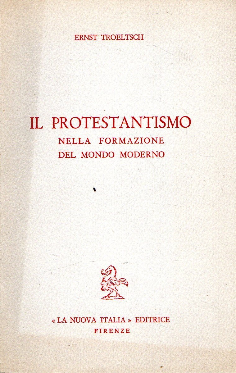 Il protestantismo : nella formazione del mondo moderno | Immagine principale