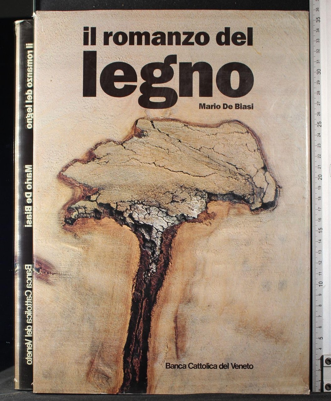 Il romanzo del legno | Immagine principale