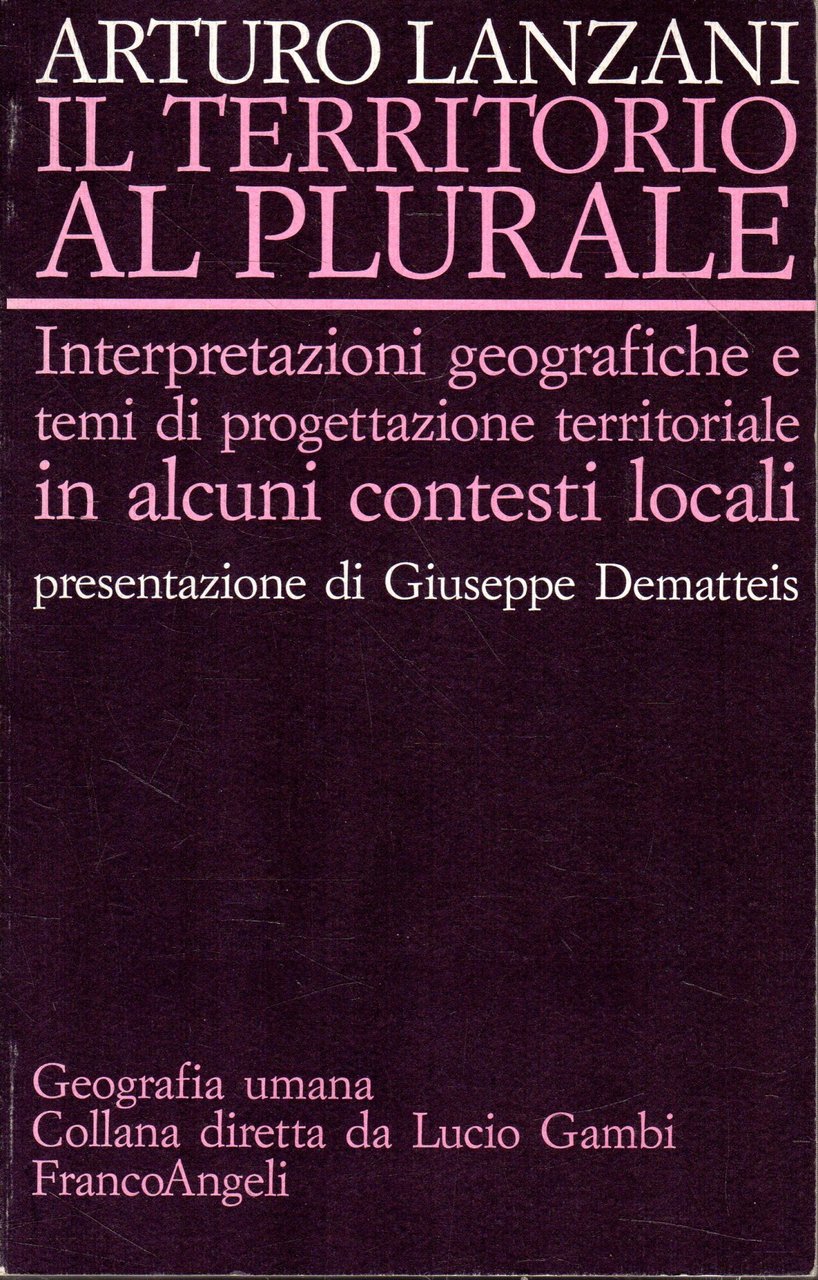 Il territorio al plurale : interpretazioni geografiche e temi di …