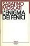 L'ENIGMA DEI FENICI | Immagine principale