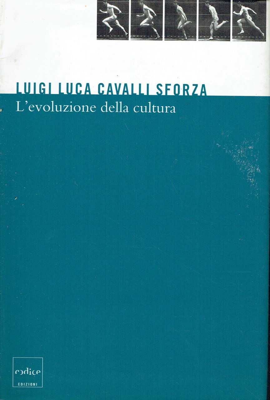 L'evoluzione della cultura. Proposte concrete per studi futuri | Immagine principale
