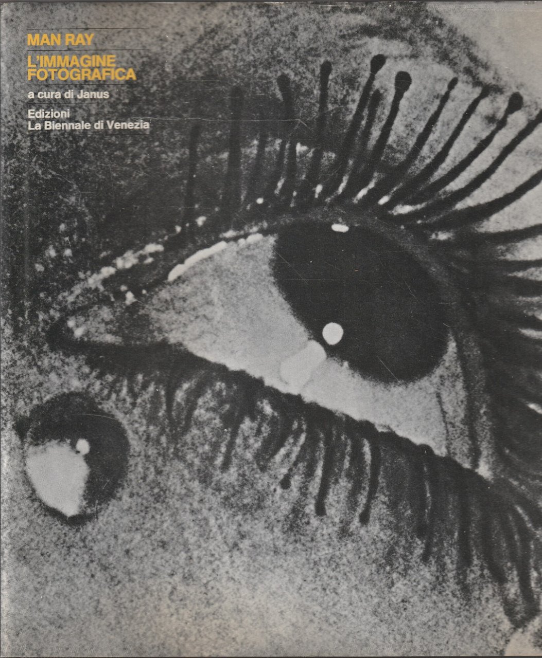 L'immagine fotografica