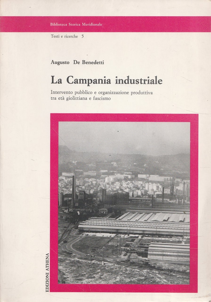 La Campania industriale. Intervento pubblico e organizzazione produttiva tra età …