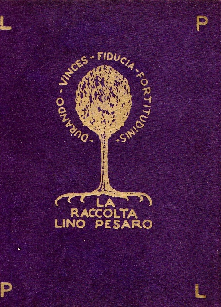 La raccolta Lino Pesaro
