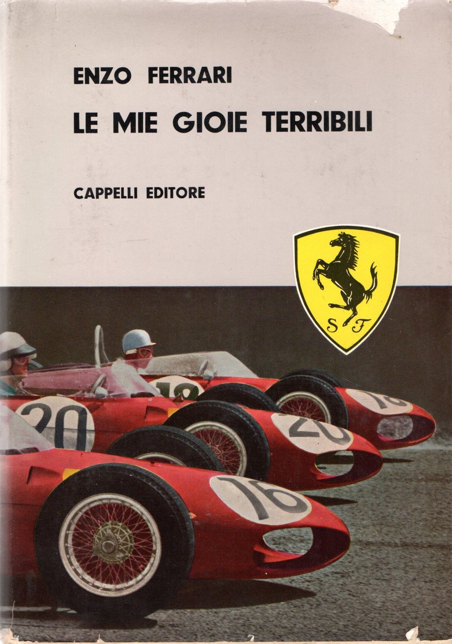 Le mie gioie terribili