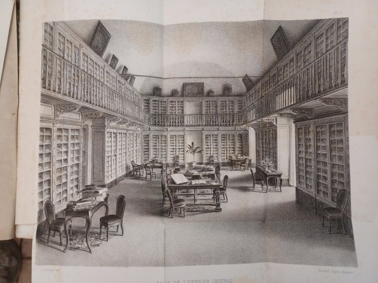 Les Collections Botaniques du Musee Royal de Physique et d'Histoire … | Immagine Gallery 4