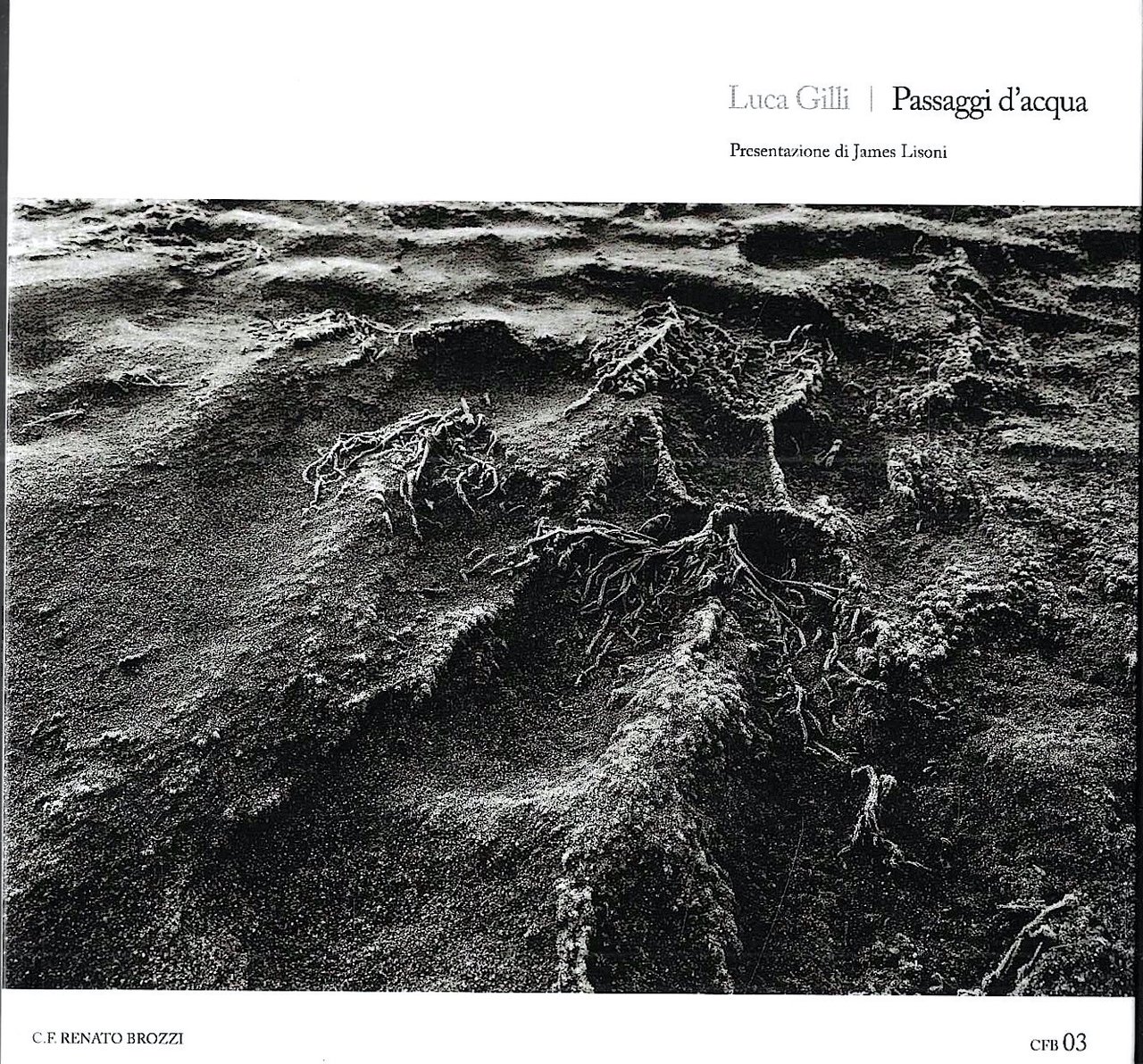 Luca Gilli. Passaggi d'acqua | Immagine principale