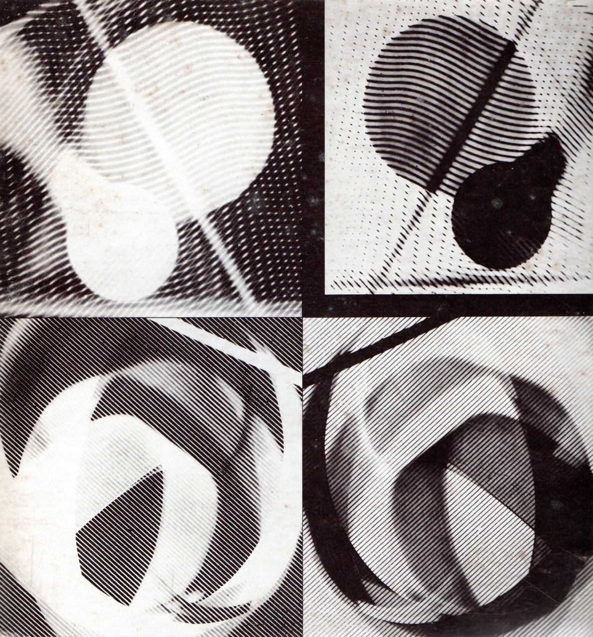 Luigi Veronesi | Immagine principale