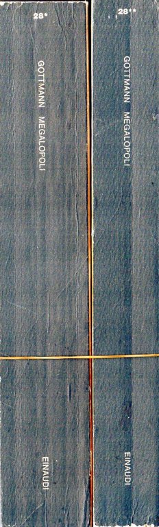 Megalopoli. Funzione e relazioni di una pluri-città (2 volumi)