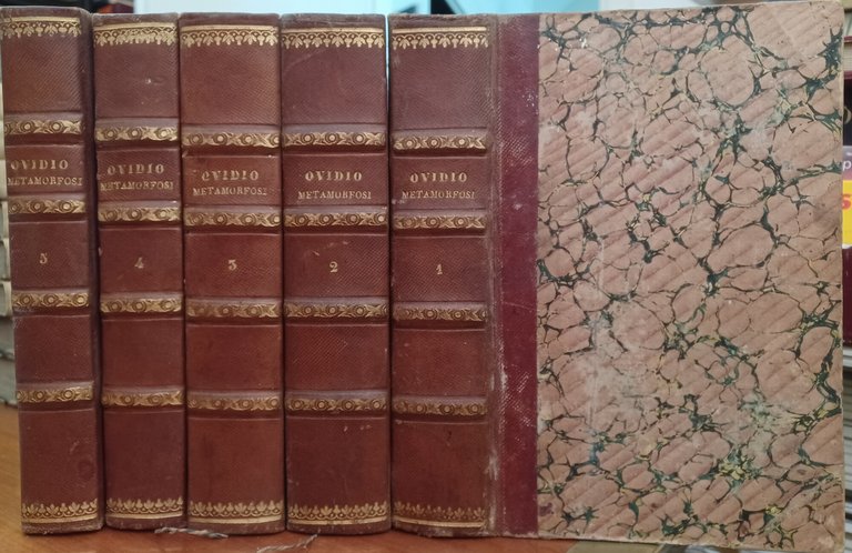 Metamorphoseon Libri XV cum appositis italico carmine interpretationibus ac notis … | Immagine Gallery 2