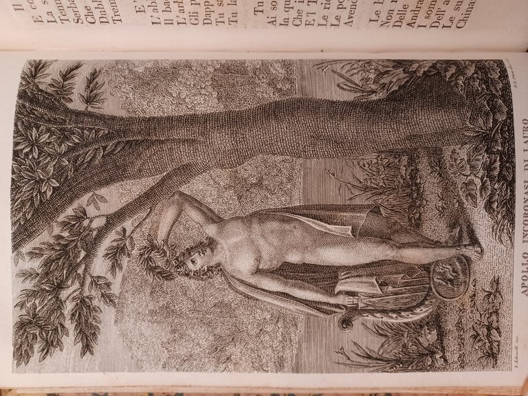 Metamorphoseon Libri XV cum appositis italico carmine interpretationibus ac notis … | Immagine Gallery 5