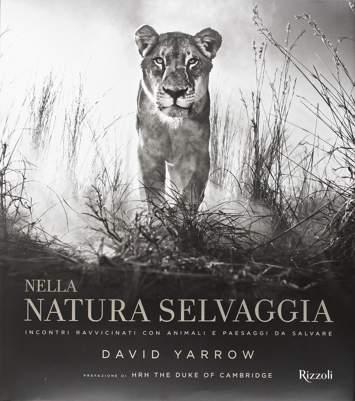 Nella natura selvaggia. Incontri ravvicinati con animali e paesaggi da …