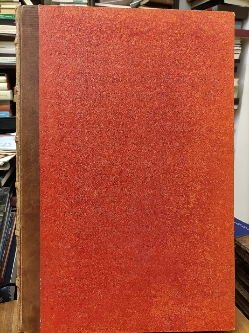 Opera ornamentale pubblicata per cura dell'I.R. Accademia di Belle Arti … | Immagine principale