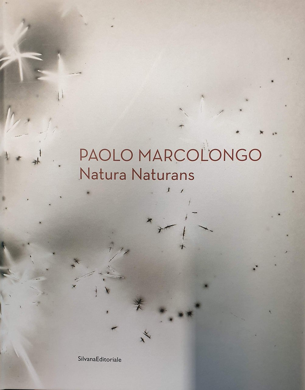 Paolo Marcolongo. Natura naturans. Ediz. italiana e innglese | Immagine principale