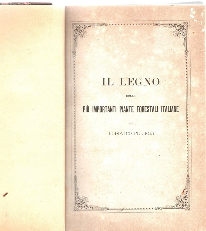 PIANTE LEGNOSE ITALIANE