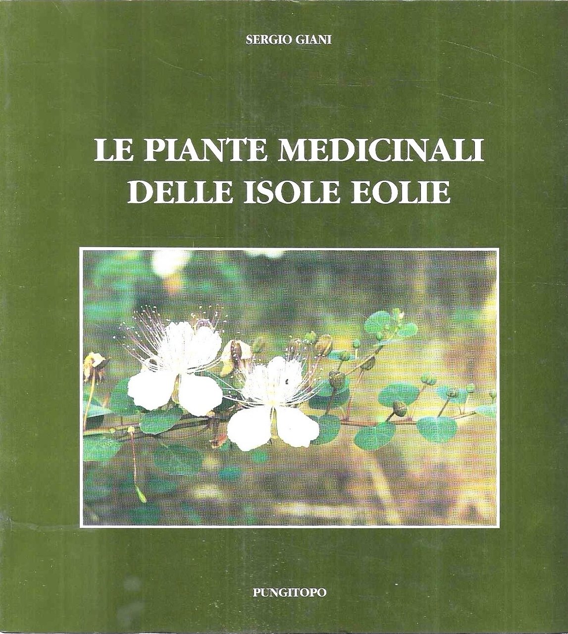 Piante medicinali delle isole Eolie | Immagine principale