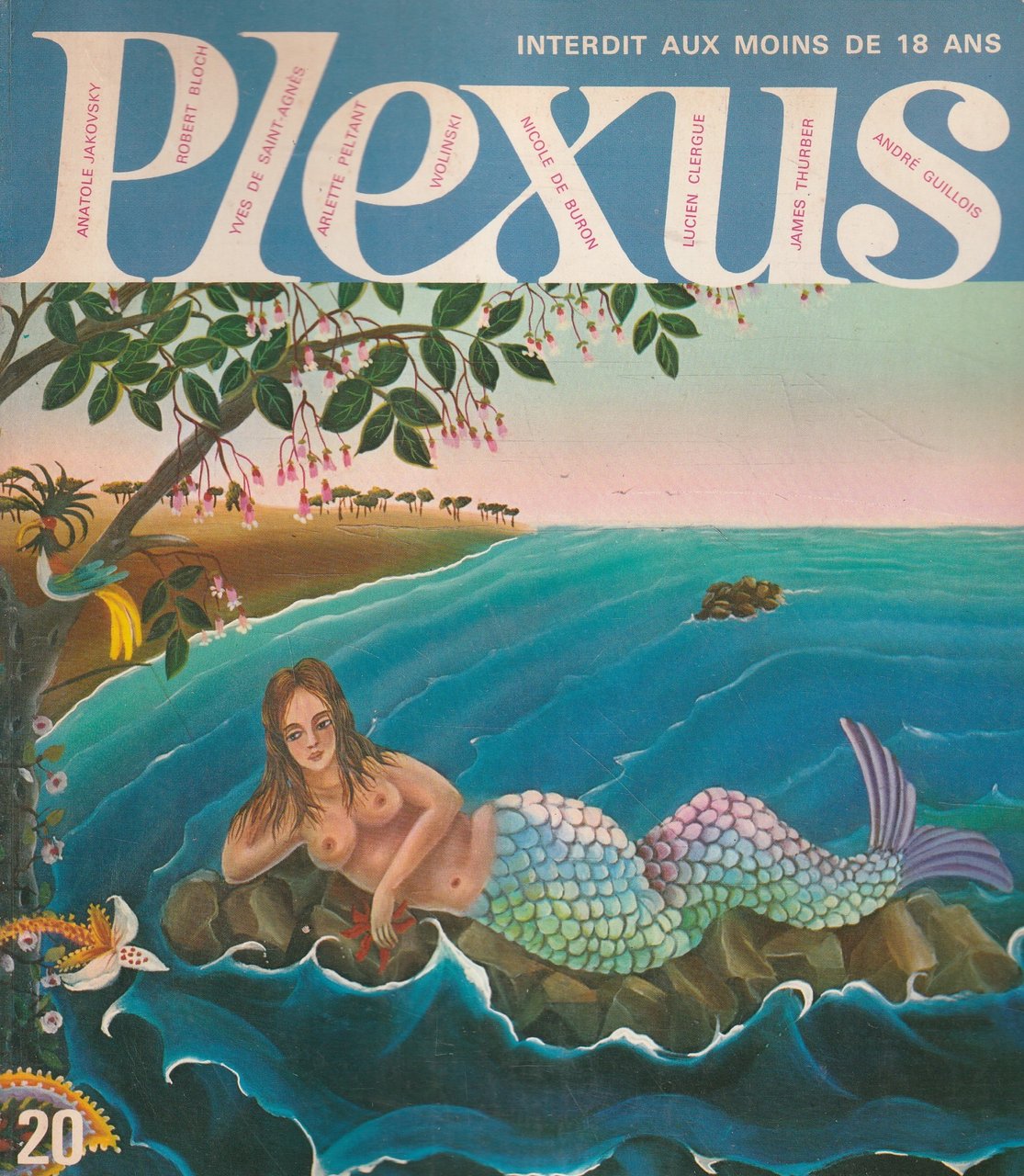 Plexus - n. 20