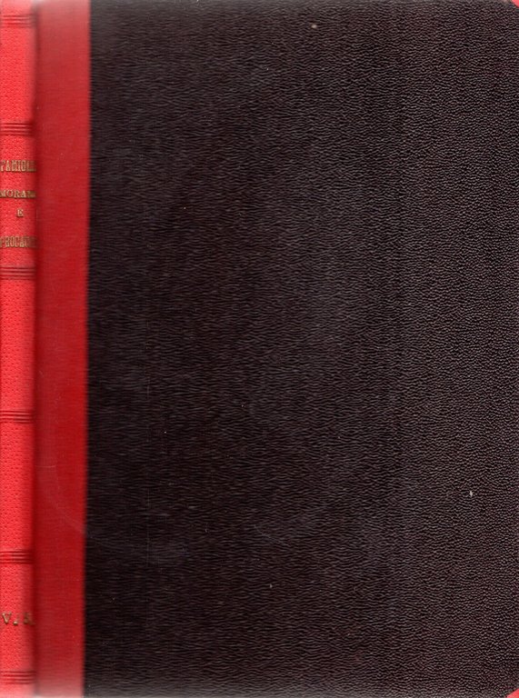 Ricerche critiche e storiche riguardanti la Famiglia Morano 1200-1800 | Immagine Gallery 2