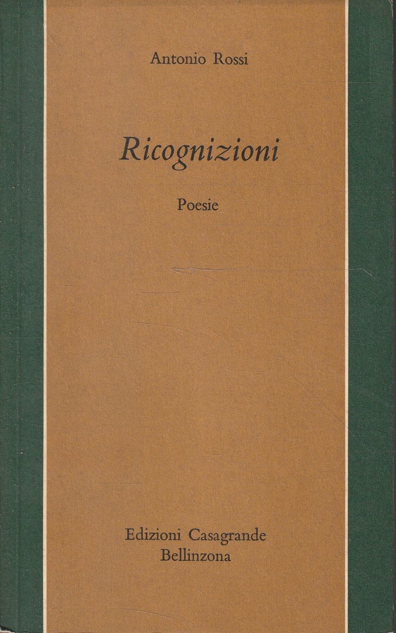 Ricognizioni