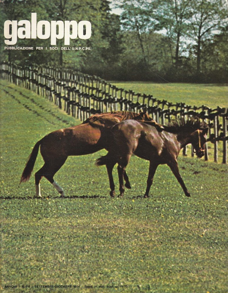 Riviste galoppo Anno 1 n^ 2-3 Anno 2 n^ 4-5-6-7-8 …