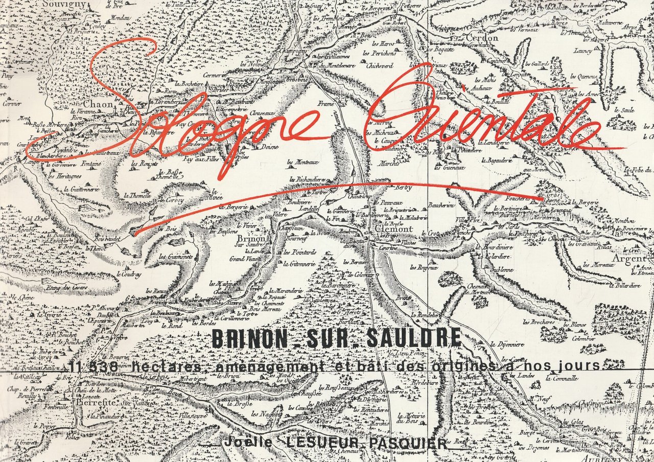 Sologne Orientale. Brinon-sur-sauldre, 11 538 hectares, aménagement et bati des …