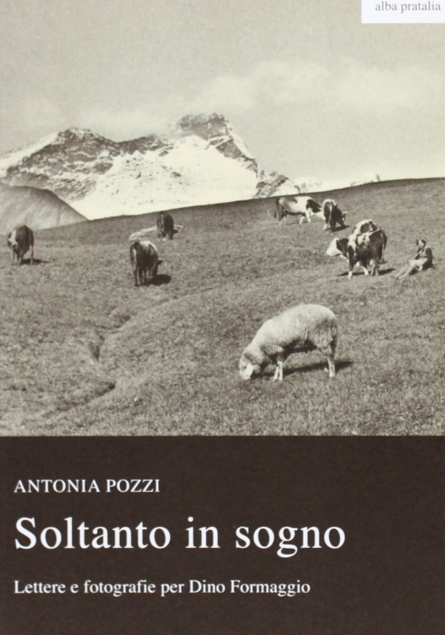 Soltanto in sogno. Lettere e fotografie per Dino Formaggio