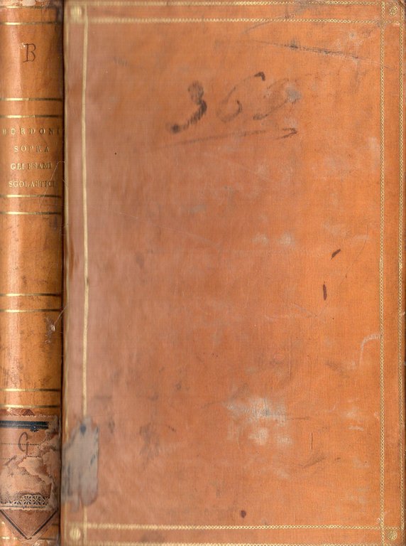 Sopra gli Esami Scolastici | Immagine Gallery 3