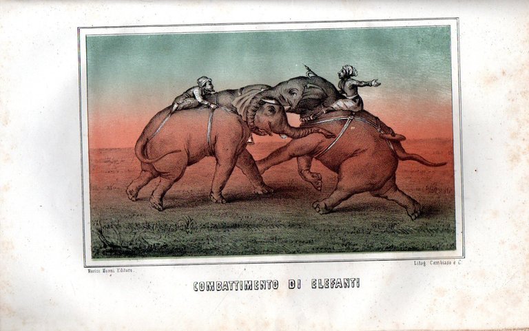 Storia delle Indie orientali. L'Asia ossia descrizione fisica, storica, politica … | Immagine Gallery 7