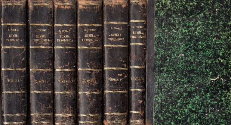 Summa Theologica diligenter emendata de rubeis, billuart et aliorum. Notis …
