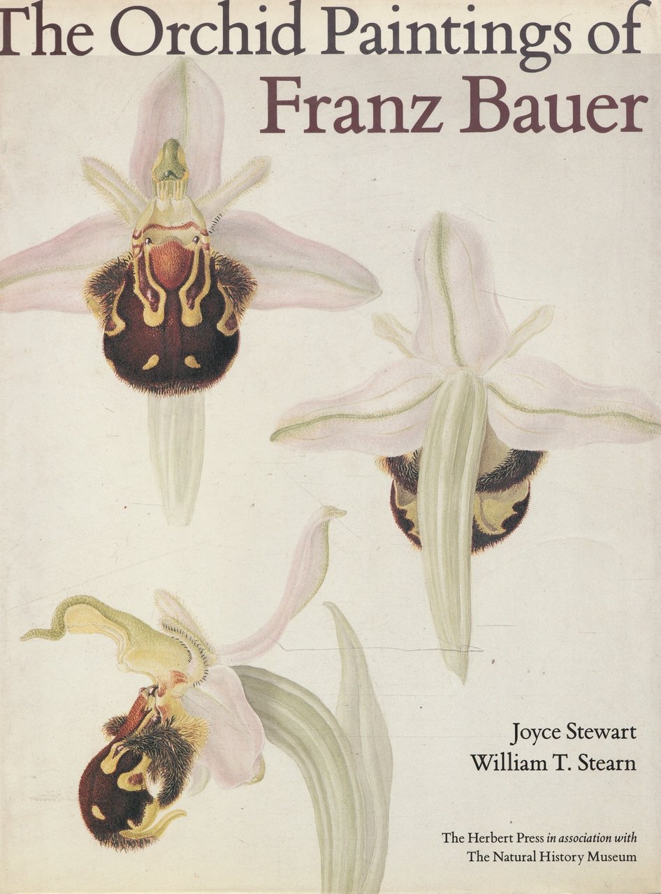 The Orchid Paintings of Franz Bauer