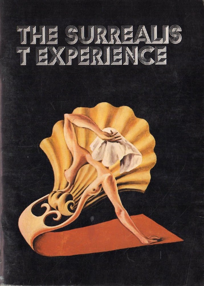 The Surrealist Experience