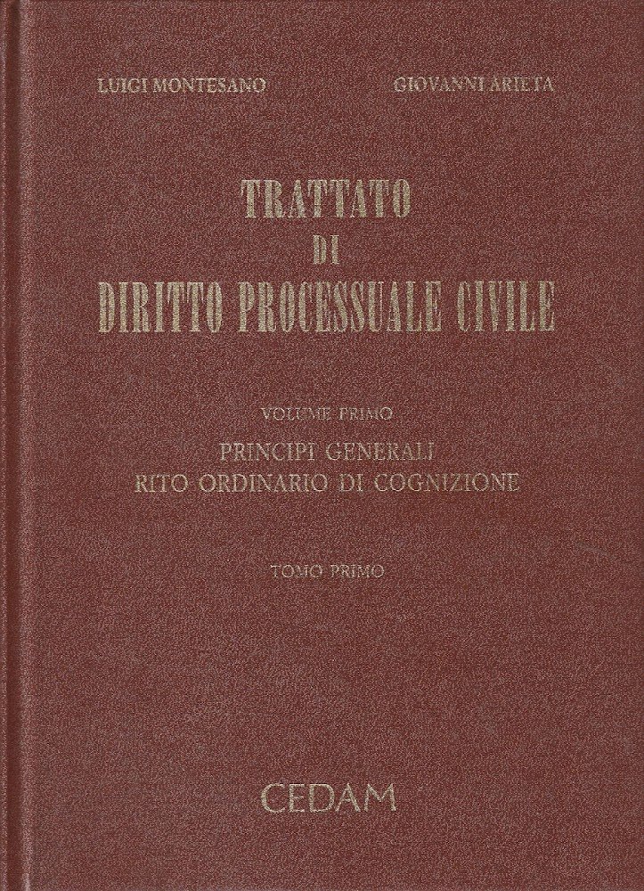 Trattato di diritto processuale civile. Vol. primo. Principi generali. Rito …