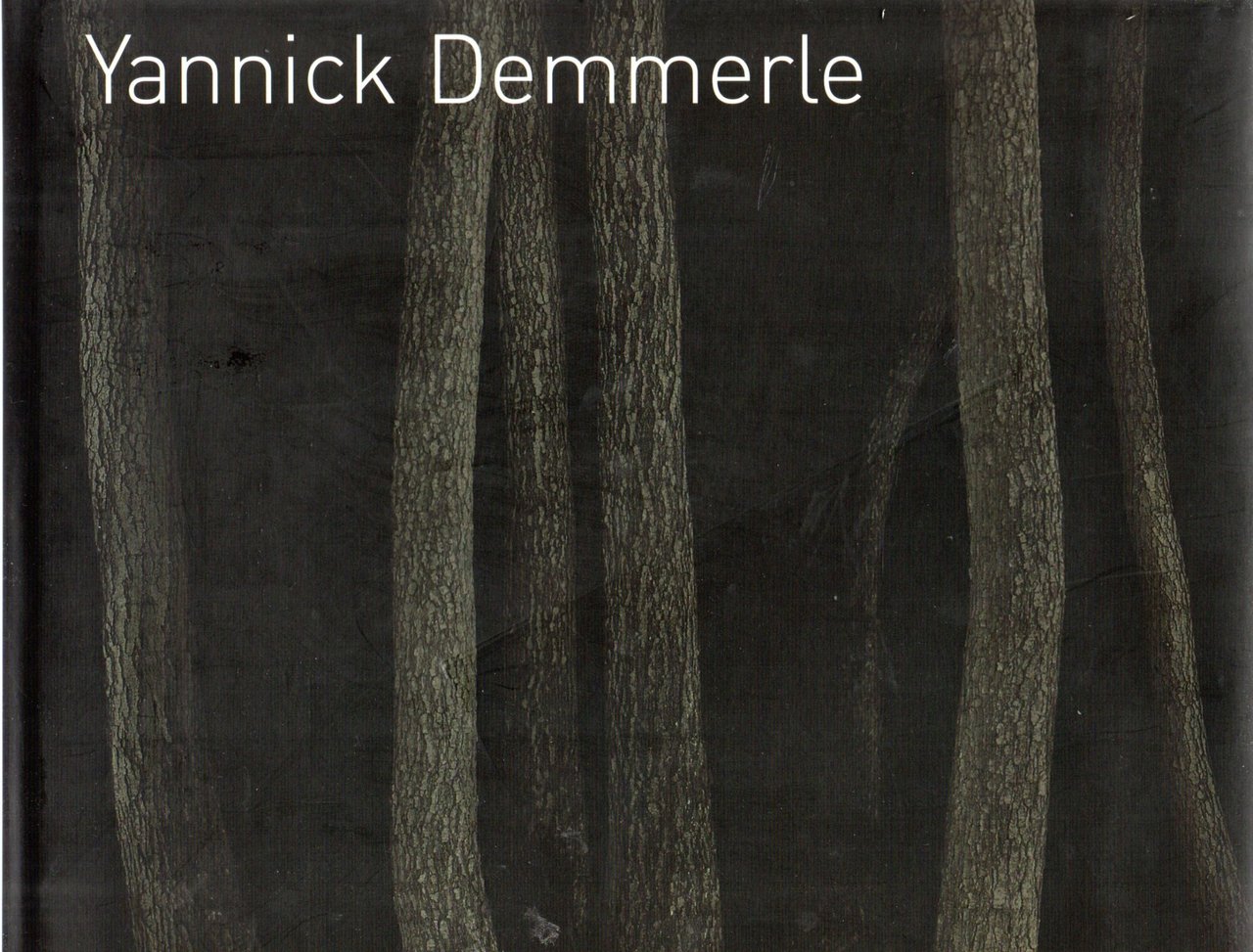 Yannick Demmerle | Immagine principale