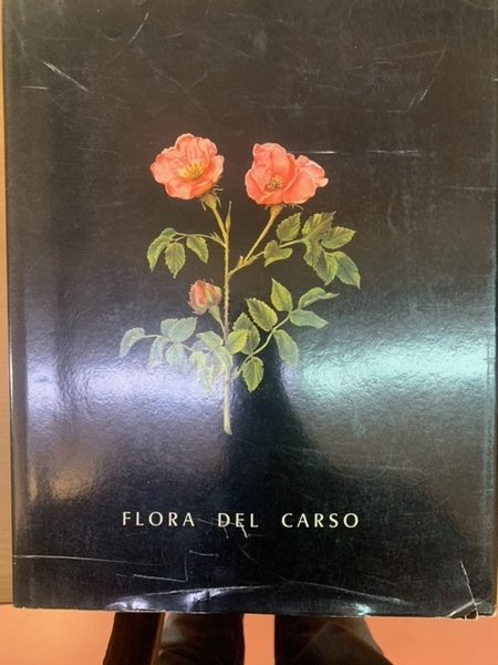FLORA DEL CARSO